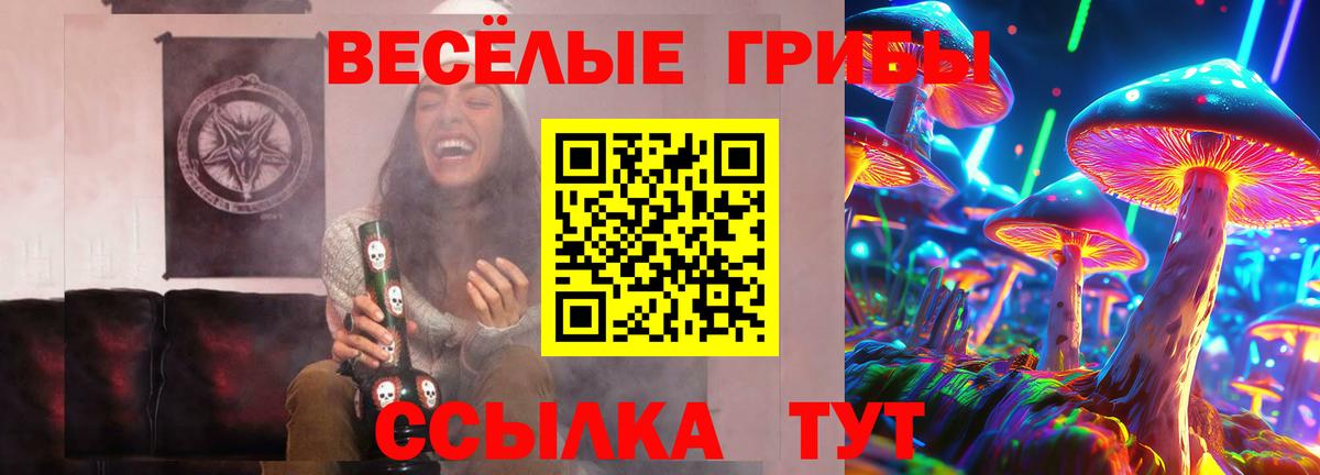 Галлюциногенные грибы GOLDEN TEACHER Бахчисарай